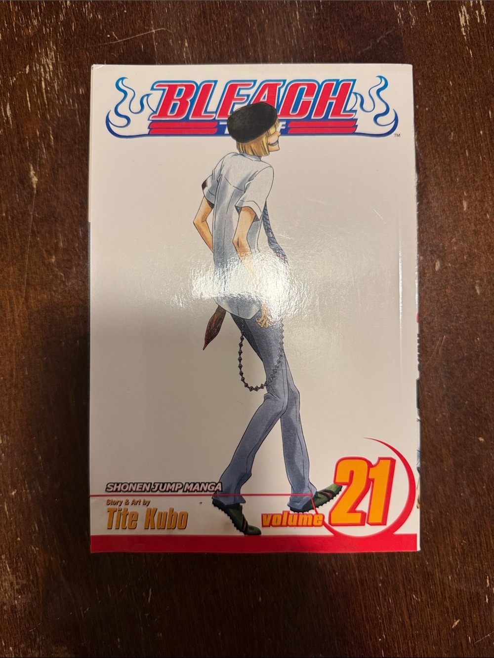 Bleach Volume 21 Manga - Paperback